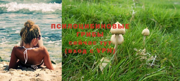 соль ск Кукмор