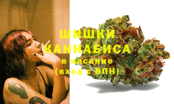 дживик Кулебаки