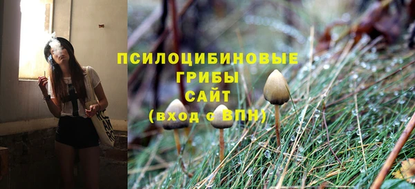 дживик Кулебаки