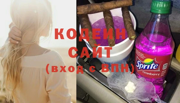 соль ск Кукмор
