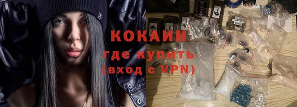 дживик Кулебаки