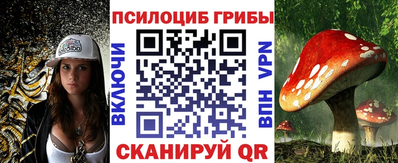 Купить закладки  Богданович  Псилоцибиновые грибы MAGIC MUSHROOMS 